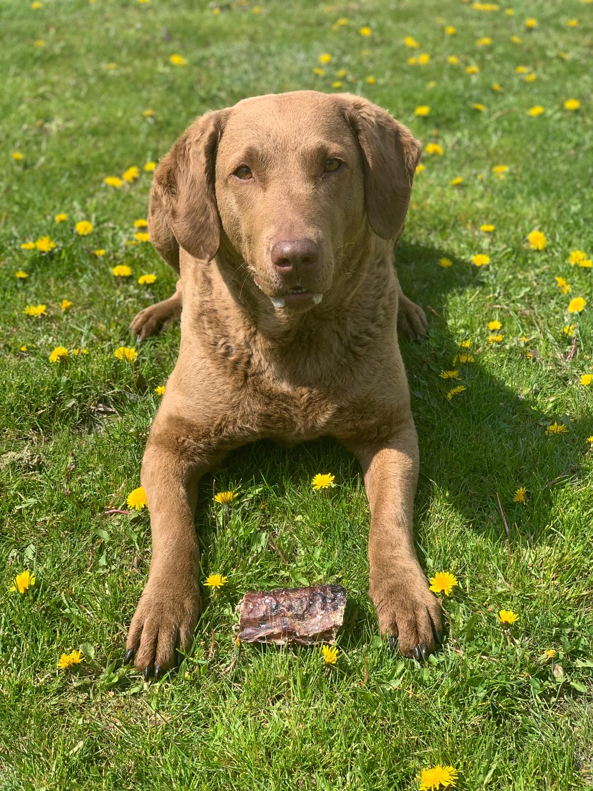 0132aa5b-f5a1-4680-badf-176c7e8ba9df