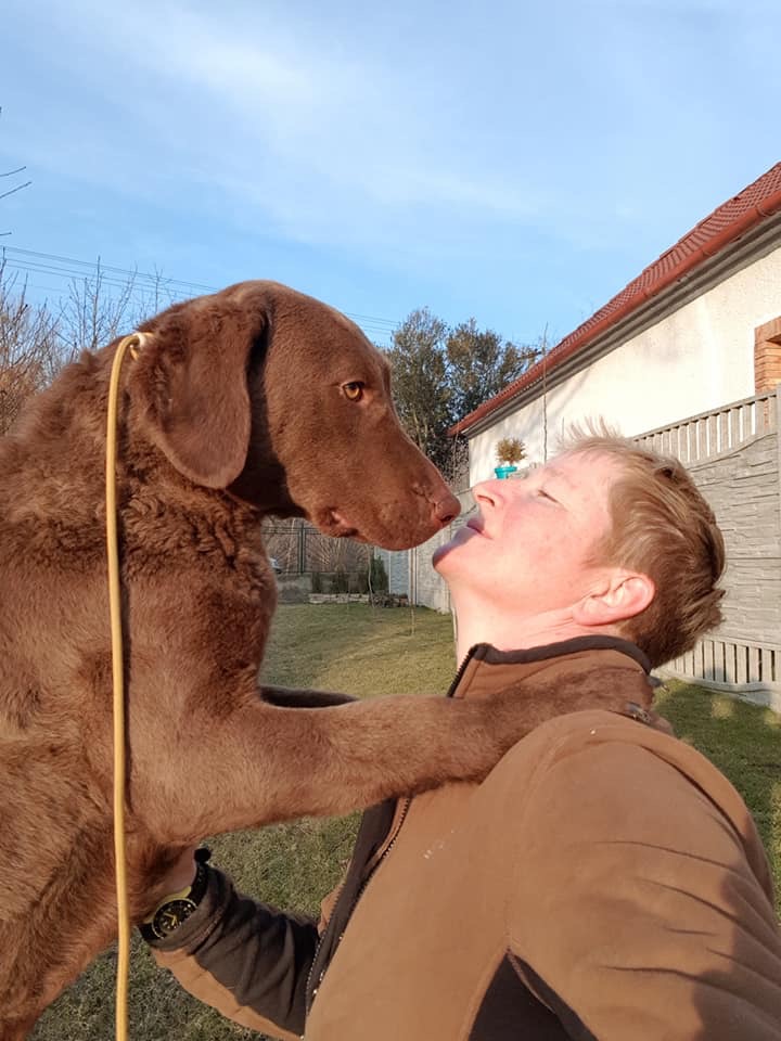 This image has an empty alt attribute; its file name is img_8606-3-1.jpg